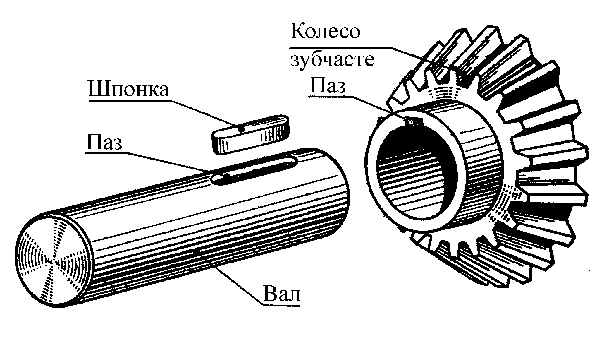 Паз как выглядит на чертеже